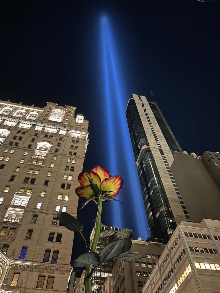 9-11-lights