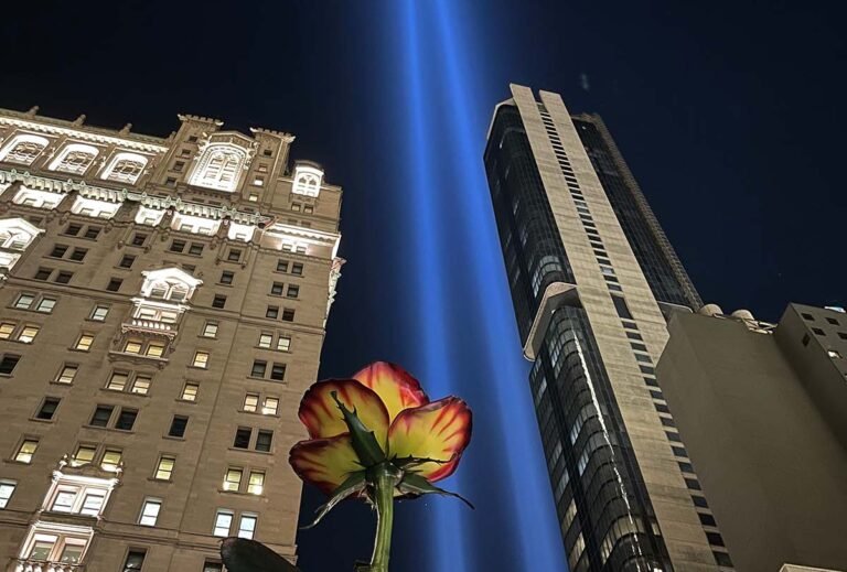 9-11-lights