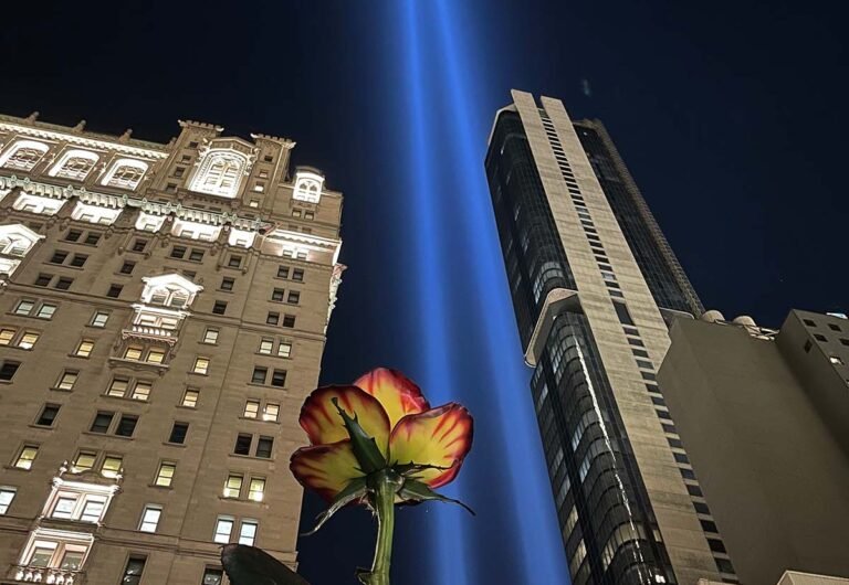 9-11-lights